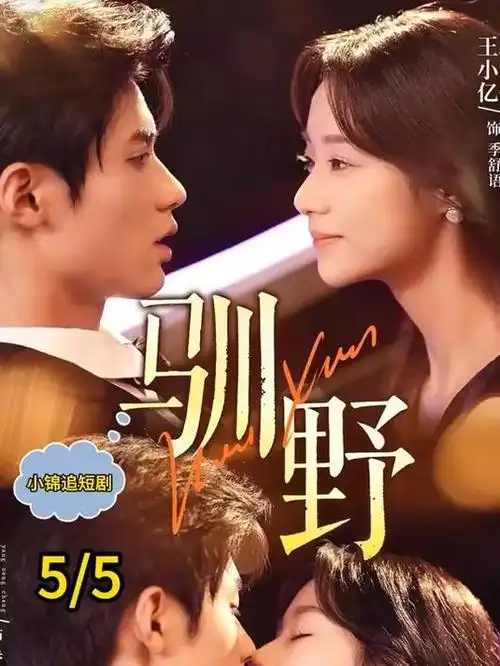 大唐狄公案